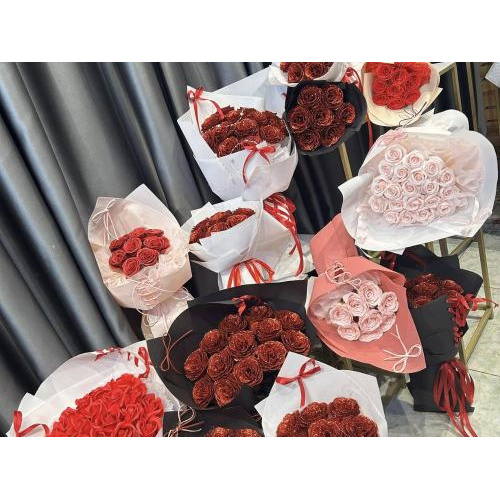 Giới thiệu về sản phẩm